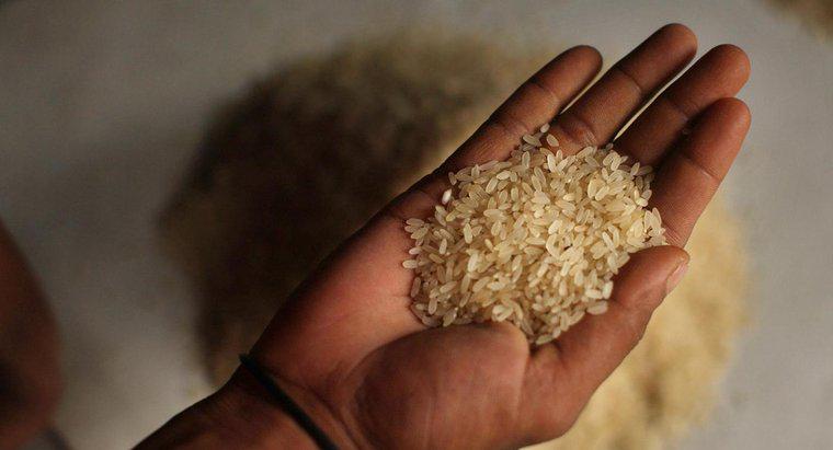 Wie viel wiegt ein einzelnes Reiskorn?