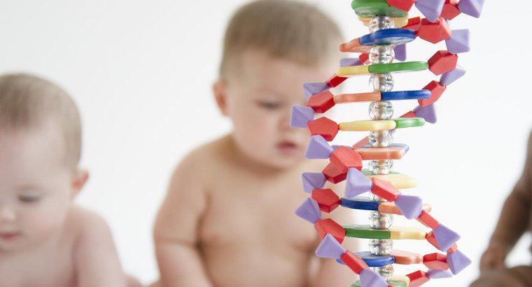 Können genetische Störungen Generationen überspringen?