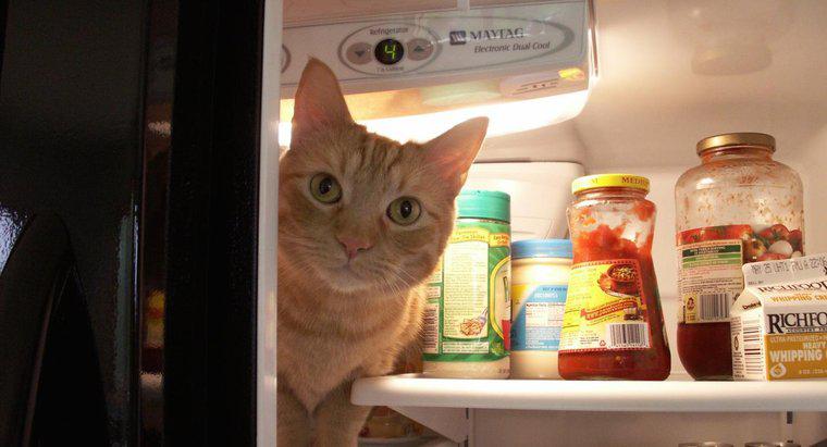 Erhöht das Öffnen einer Kühlschranktür die Kosten für Ihre Stromrechnung?