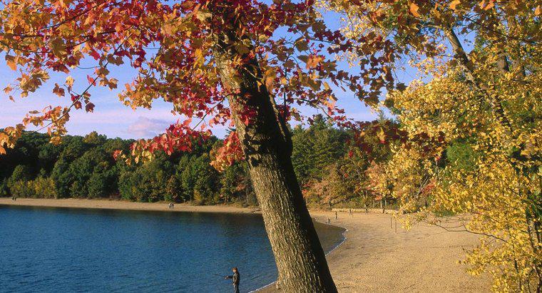 Warum hat Thoreau Walden Pond verlassen?