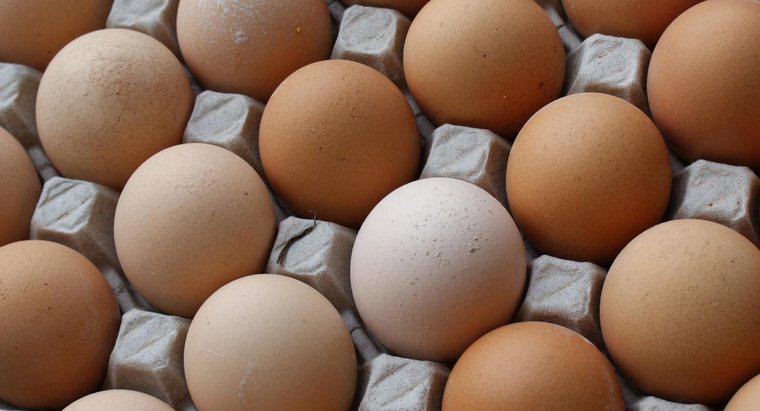 Was ist der Nährwert eines Eies?