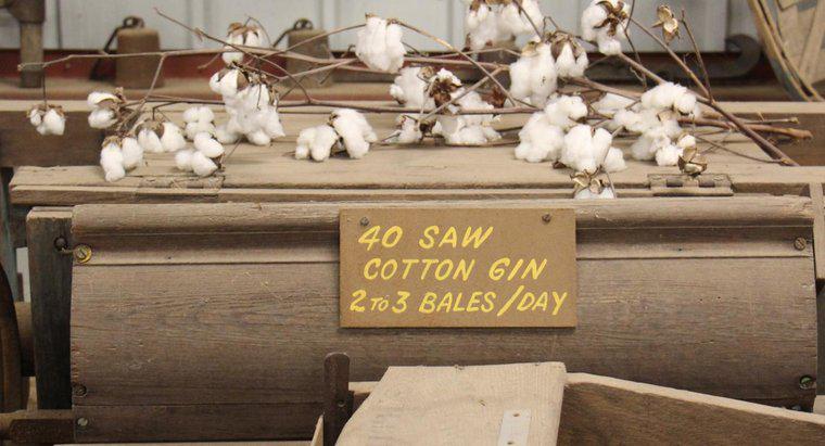Was hat der Cotton Gin gemacht?