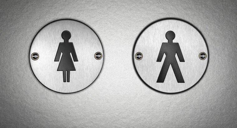 Können Sie den Unterschied zwischen männlichem und weiblichem Urin erkennen?