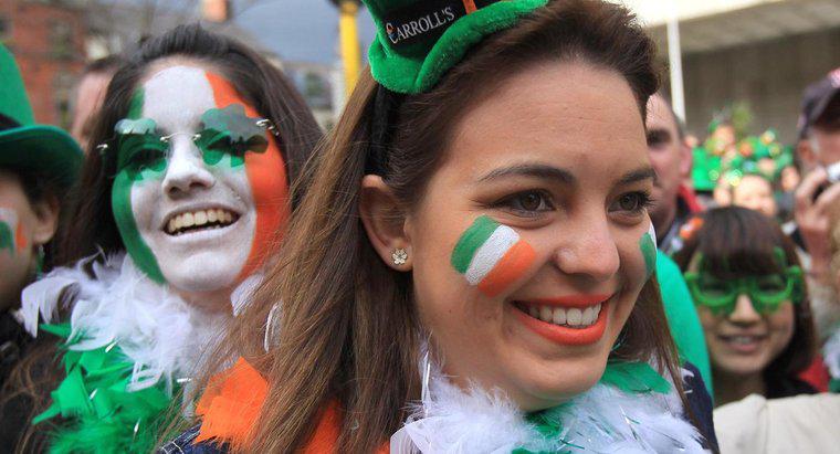 Wann war die erste St. Patrick's Day Parade in Irland?