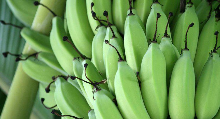 Wie lange dauert es, bis Bananen reif sind?