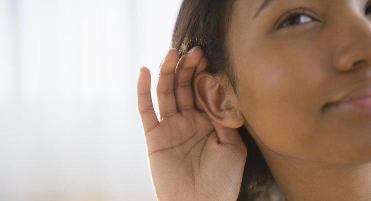 Was veranlasst Sie, Ihren Herzschlag in Ihren Ohren zu hören?
