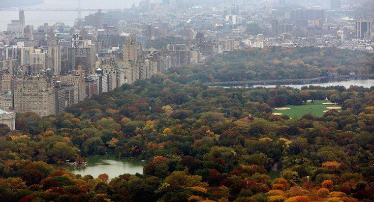 Wie groß ist der Central Park in New York?