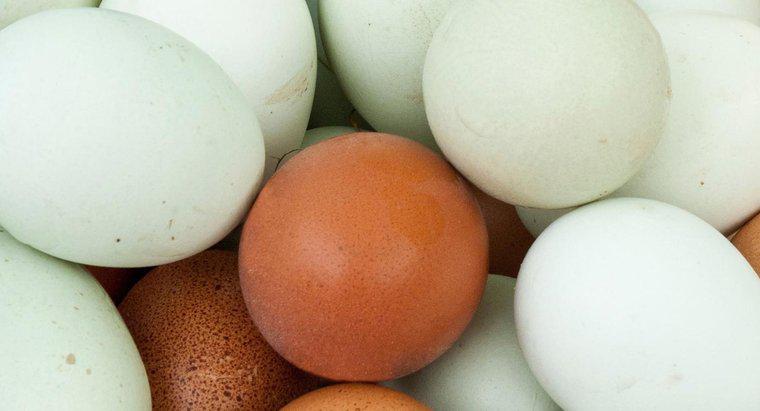 Was ist der Aberglaube daran, ein blutiges Ei zu finden?