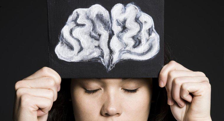 Welche Funktion hat der Frontallappen des Gehirns?