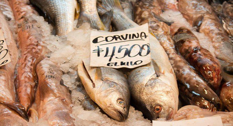 Wie kocht man Corvina-Fisch?
