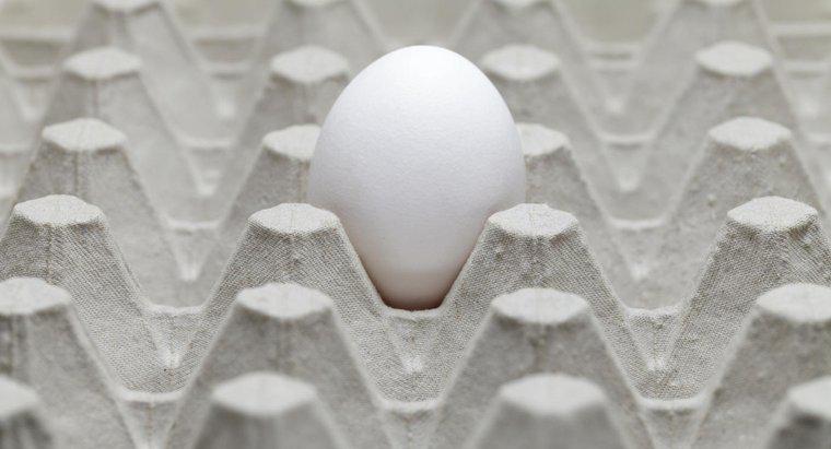 Was verursacht einen Geruch nach faulen Eiern in einem Haus?