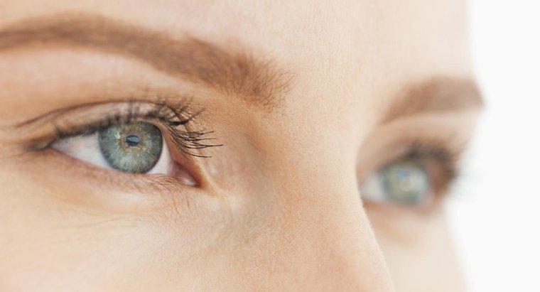 Was sind die Hauptfunktionen des Auges?