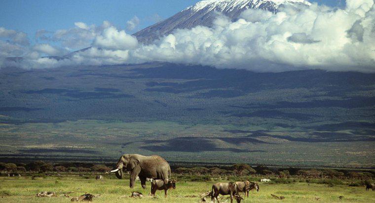 Wie entstand der Kilimanjaro?