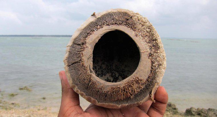 Was ist Kokosnussschalenfaser?