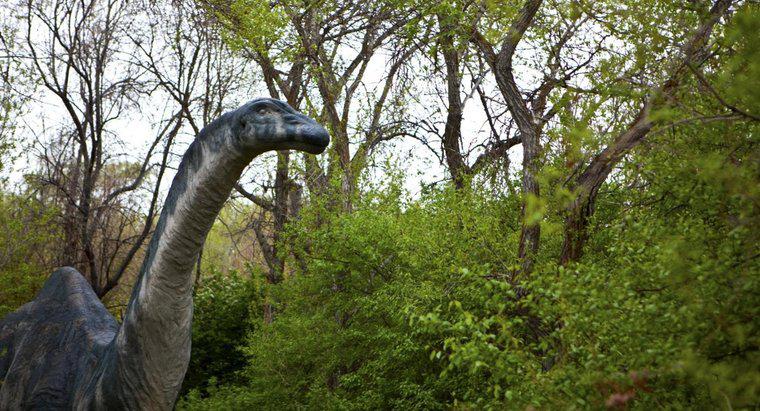 Warum wurde der Name des Brontosaurus in Apatosaurus geändert?