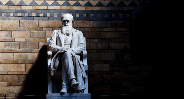Wofür ist Charles Darwin berühmt?