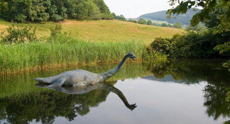 Wo lebt das Ungeheuer von Loch Ness?