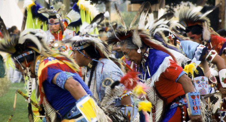 Was sind die Ziele der American Indian Movement?