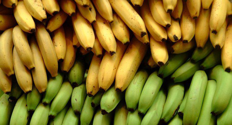 Sind Bananen gut für Diabetiker?