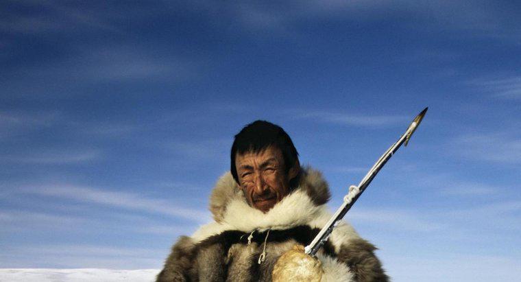 Was essen die Inuit?