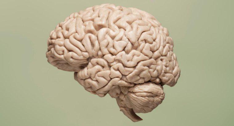 Was verursacht Sauerstoffmangel im Gehirn?