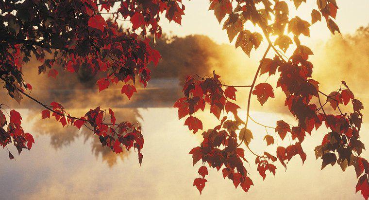 Welche Monate in Nordamerika gelten als Herbst?