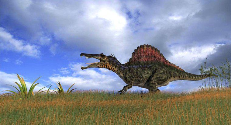 Was war der größte fleischfressende Dinosaurier?