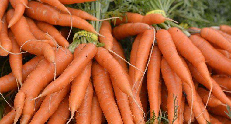 Dürfen Hamster Karotten essen?