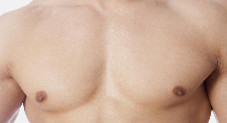 Was ist der Unterschied zwischen Oberkörper und Brust?