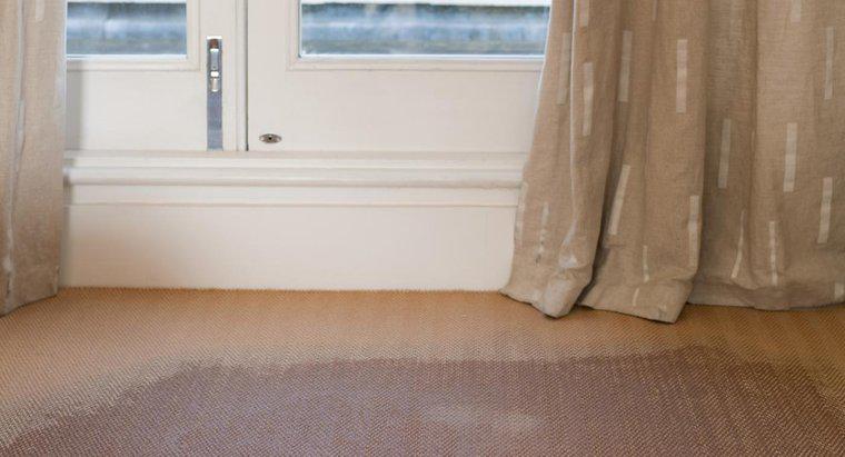 Wie entfernt man den Schimmelgeruch vom Teppich?