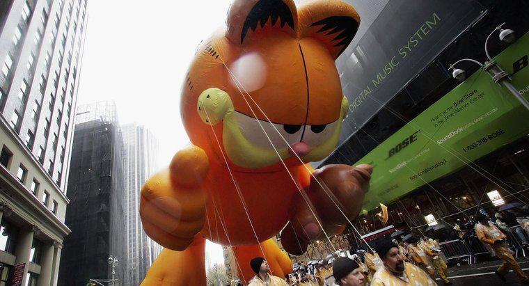 Welche Katzenrasse ist Garfield?