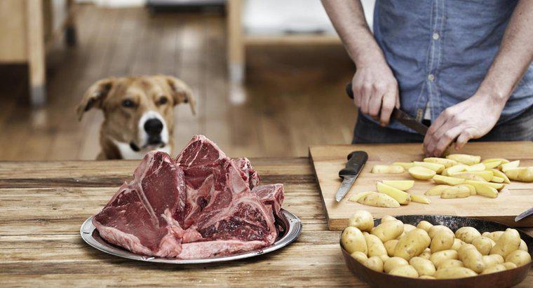 Dürfen Hunde Steakknochen essen?