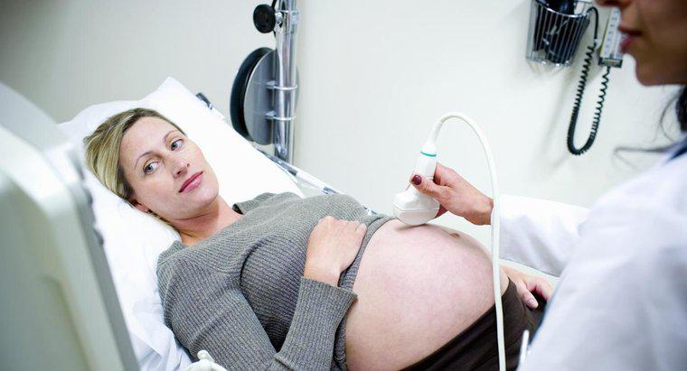 Wie hoch ist der Puls von Schwangeren?