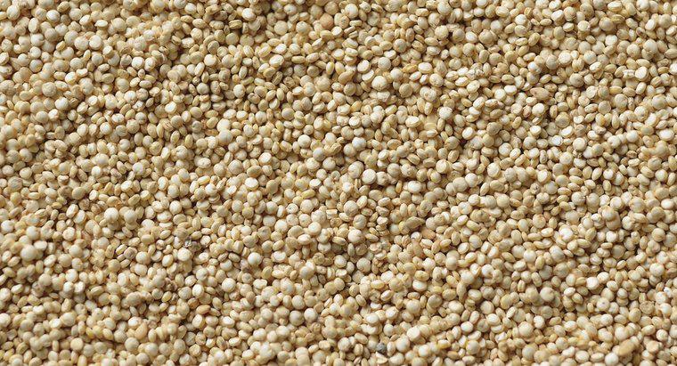 Was ist der Aminosäuregehalt von Quinoa?
