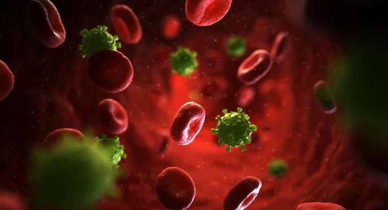 Was ist ein makulopapulöser HIV-Ausschlag?