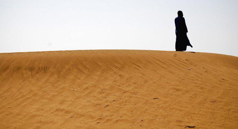 Wie heiß kann es im Sommer in der Sahara werden?