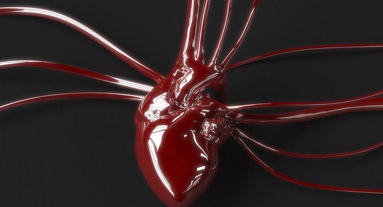 Was ist der Unterschied zwischen arteriellem und venösem Blut?