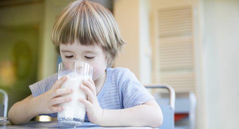Darf man Milch trinken, während man Antibiotika nimmt?