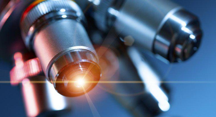 Wofür wird ein Lichtmikroskop verwendet?