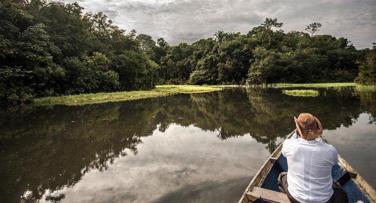 Wie tief ist der Amazonas?