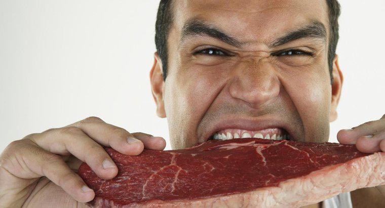 Wie lange dauert es, bis Rindfleisch im menschlichen Körper verdaut wird?