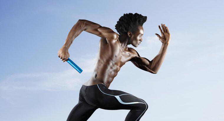 Welche Muskeln werden beim Sprinten verwendet?