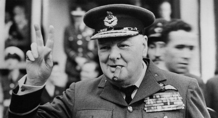 Welche Hunderasse besaß Winston Churchill?