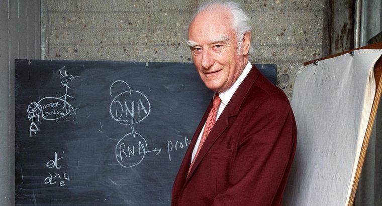 Hat Francis Crick LSD konsumiert?