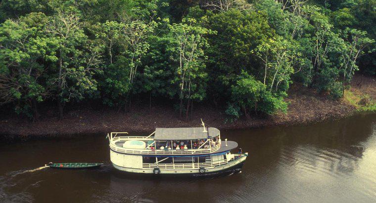 Wie nutzen die Menschen den Amazonas?