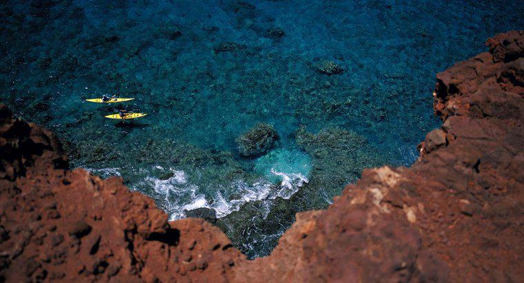 Was ist der Bodentyp für ein Korallenriff?