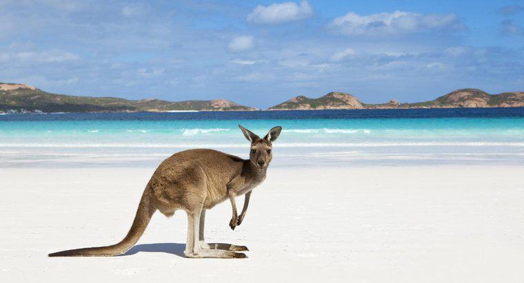 Welche zwei Ozeane berühren Australien?