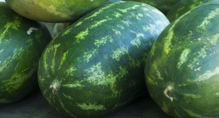 Wo wird Wassermelone auf der Welt angebaut?
