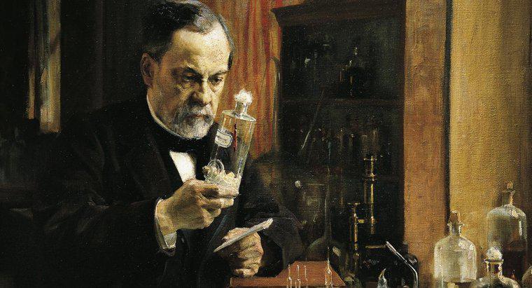 Hatte Louis Pasteur Brüder oder Schwestern?
