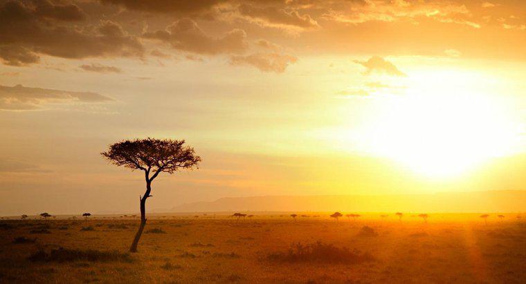 Wie ist das Klima in Afrika?